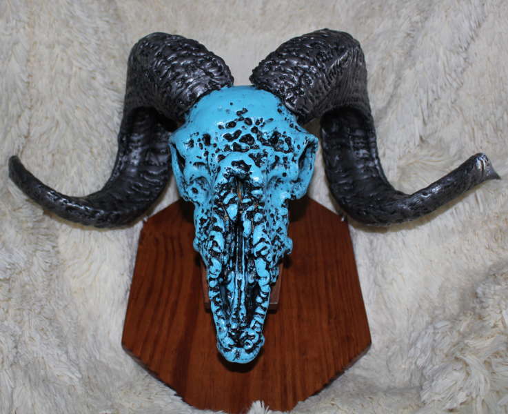 turquoise ram skull