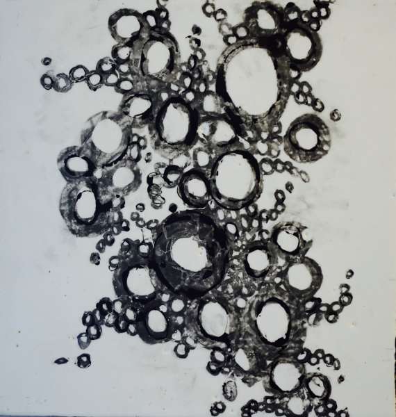graphite and india ink 2