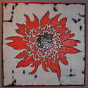etched chrysanthemum