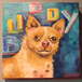 Buddy